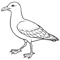 seagull bird Coloring book vector art illustration (14)