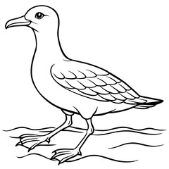 Obraz premium seagull bird Coloring book vector art illustration (18)