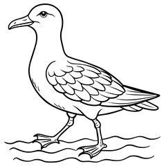 seagull bird Coloring book vector art illustration (17)