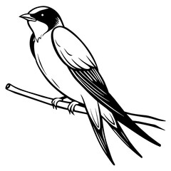 swallow bird coloring book page vector art illustration, solid white background (13)
