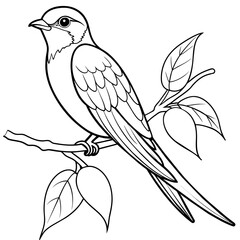 swallow bird coloring book page vector art illustration, solid white background (7)
