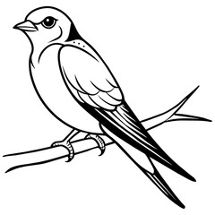 swallow bird coloring book page vector art illustration, solid white background (14)