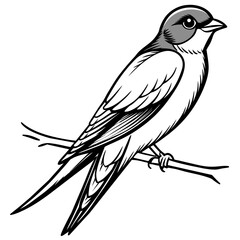 swallow bird coloring book page vector art illustration, solid white background (15)