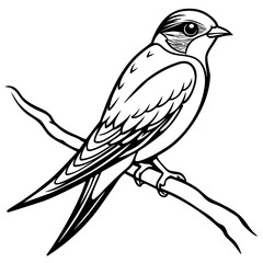 swallow bird coloring book page vector art illustration, solid white background (10)