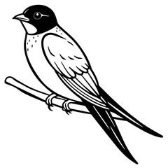swallow bird coloring book page vector art illustration, solid white background (17)