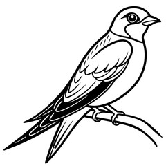 swallow bird coloring book page vector art illustration, solid white background (19)