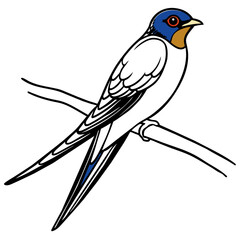 swallow bird coloring book page vector art illustration, solid white background (23)
