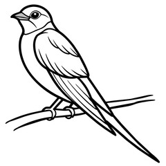 swallow bird coloring book page vector art illustration, solid white background (27)