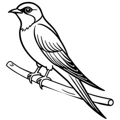 swallow bird coloring book page vector art illustration, solid white background (28)