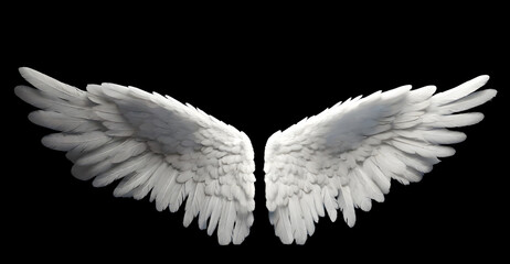 Realistic white angel wings isolated on solid background