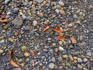 Natural Elements: Textured Rocks on the Earth