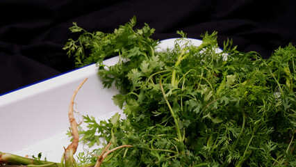 Coriander or Cilantro placed on white tray with black fabric background. Green and Black color....