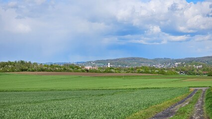 A field of tall grass with a small town in Menden Sauerland