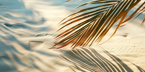 Tropical Beach Scene with Palm Leaf Shadows Generative AI