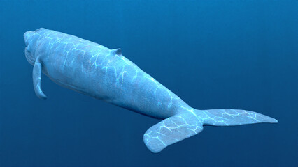 Blue Whale 3D Model captured in marine using Blender
