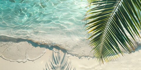 Fototapeta na wymiar Tropical Palm Leaves on White Sand Beach Generative AI