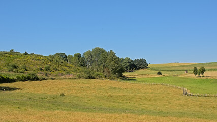 Meadows and forest in the Luexmbourg countryside. 