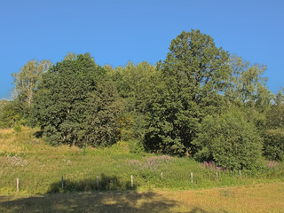Meadows and forest in the Luexmbourg countryside. 