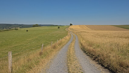 Dirtroad between meadows in the wallonian countryside.