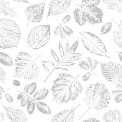 Gentle seamless background with gray silhouette texture leaves of different trees and shrubs on white. For wrapping paper, wrapping, cover, fabric, wallpaper.
