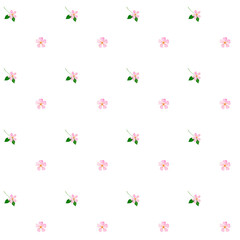 Watercolor floral pattern. Seamless illustration of pink blossoms on a white background. Delicate minimalistic design. For printing on textiles and cosmetics packaging