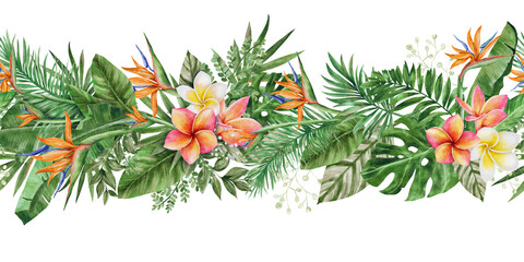 tropical border
