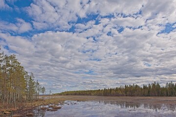 Viiankiaapa Mire Reserve in cloudy spring weather, Sodankylä, Lapland, Finland. Swampy land and wetland, marsh, bog.