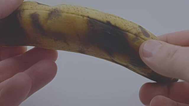 Person hand touches overripe banana over white table at home. Texture of peal of rotten banana with dark spots and lines closeup.
