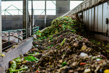 Biofuel production from organic waste