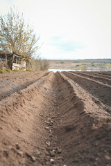 Plowed sown agricultural field with black fertile soil. Spring landscape with agricultural plantation land. Soil surface, prepared for a farmland. Agriculture, farming background