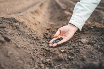 Farmer's hand planting seed in soil