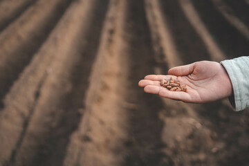 Farmer's hand planting seed in soil
