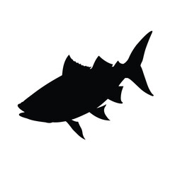 silhouette of a cobia fish on white