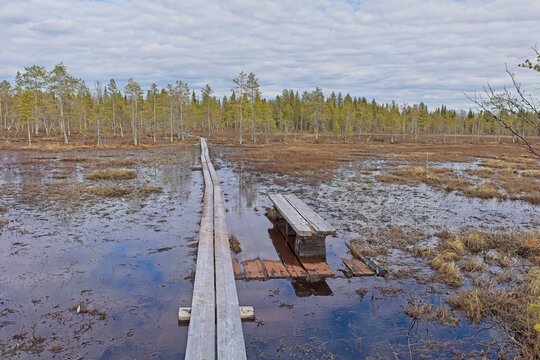 Hiking trail duckboard path on Viiankiaapa Nature Trail at Viiankiaapa Mire Reserve in cloudy spring weather, Sodankylä, Lapland, Finland. Swampy land and wetland, marsh, bog.
