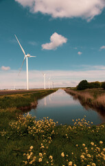 wind turbines in the field near the canal