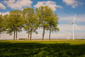 Fototapeta premium landscape with wind turbines 