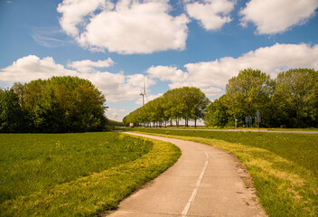 bicycle road in the summer park
