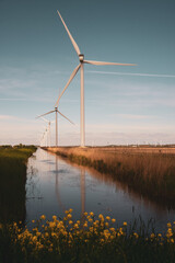 wind turbines in the field near the canal
