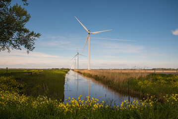 wind turbines in the field near the canal