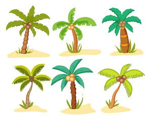 tropical palms. Palms set isollated on the white background vector illustration Eps10