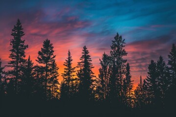 Silhouetted trees stand against a colorful sky at sunrise in a forest, creating a dramatic scene