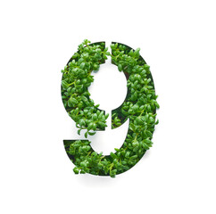 Number nine is created from young green arugula sprouts on a white background.
