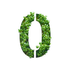 Number zero is created from young green arugula sprouts on a white background.