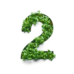 Number two is created from young green arugula sprouts on a white background.
