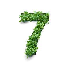 Number seven is created from young green arugula sprouts on a white background.