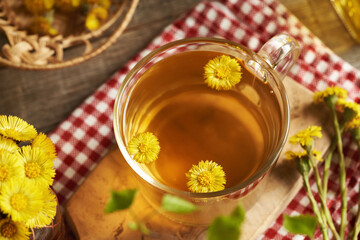 A cup of herbal tea with fresh coltsfoot flowers