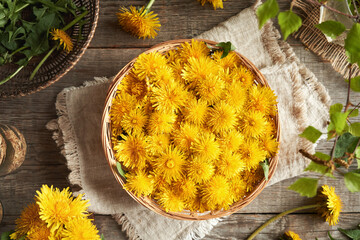 Yellow dandelion flowers in a wicker basket on a table