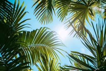 Bright sun shines through green palm leaves against a blue sky