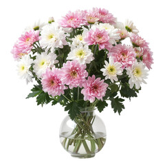 Pink and white chrysanthemum flowers in vase isolated on a transparent background