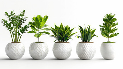 Collection of 3d realistic icon illustration potted plants for the interior, Isolated on white background,Set of artificial green houseplants in white pots ,grass in indoor pots of various shapes
